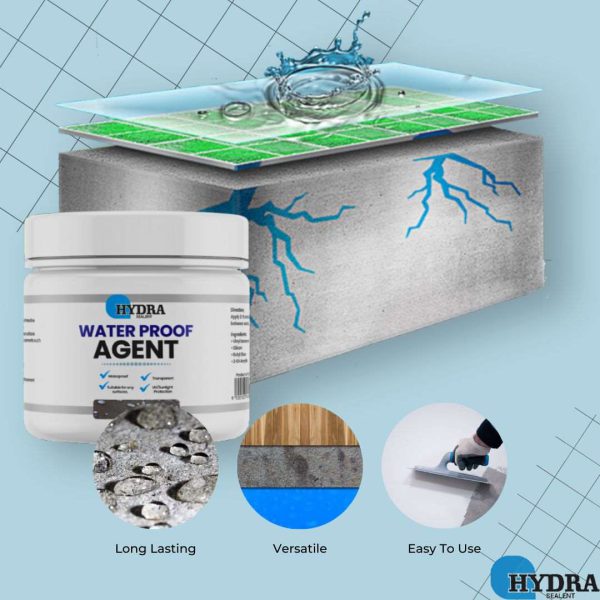 Hydra Anti-Leakage Waterproof Agent With Brush | 100% Original